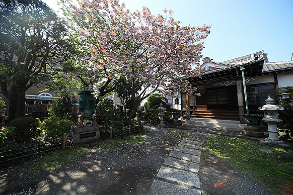 千藏寺 [所在地：横浜市中区]