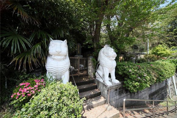 妙法寺 [所在地：横浜市南区]