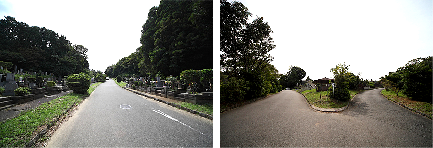 墓地の近くまで車で行けます。又、参道幅が広いです。