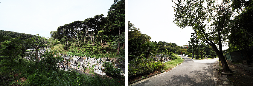 緑に囲まれた自然豊かな墓地です。